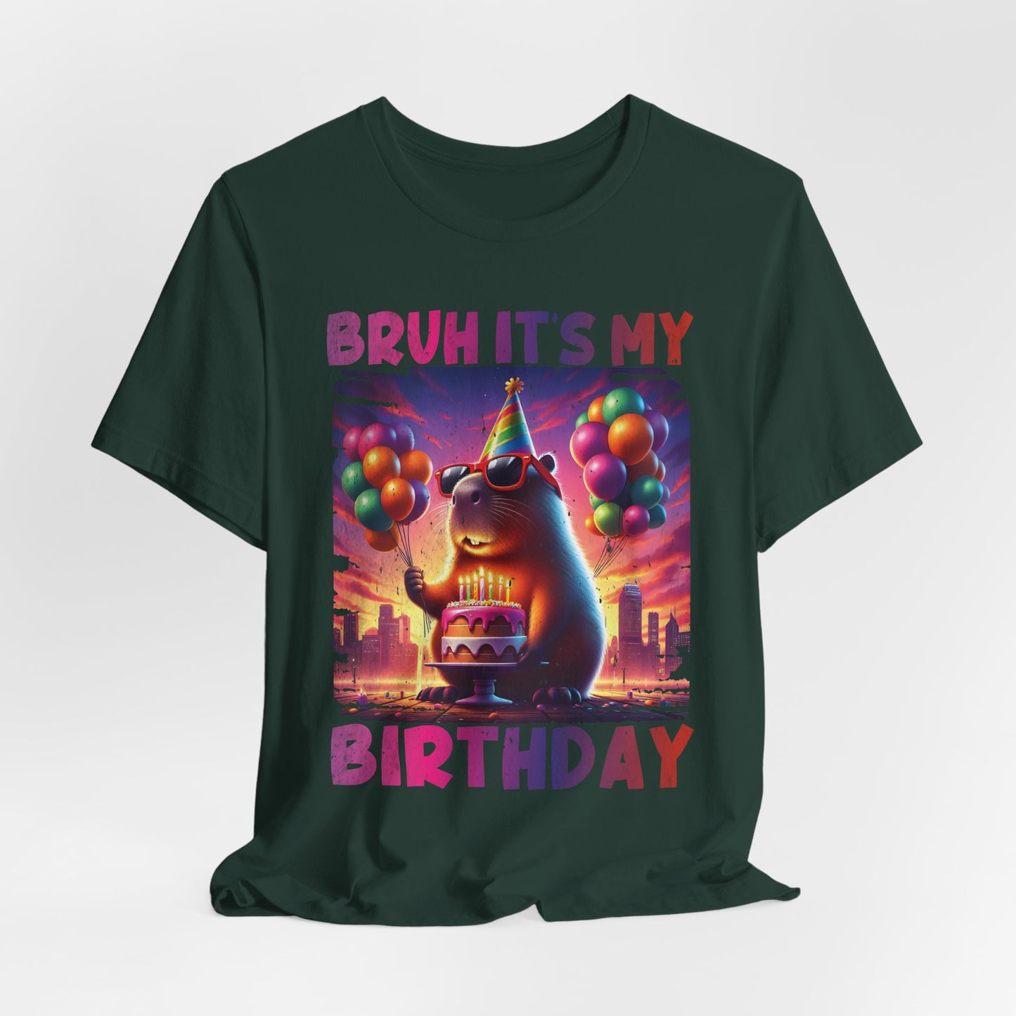 Kaiju Birthday Party Japan Capybara Bruh It's My Birthday